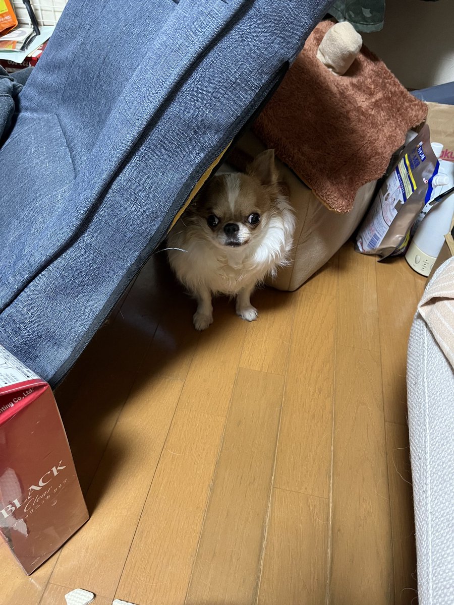 i took one single step inside why is he already about to attack
