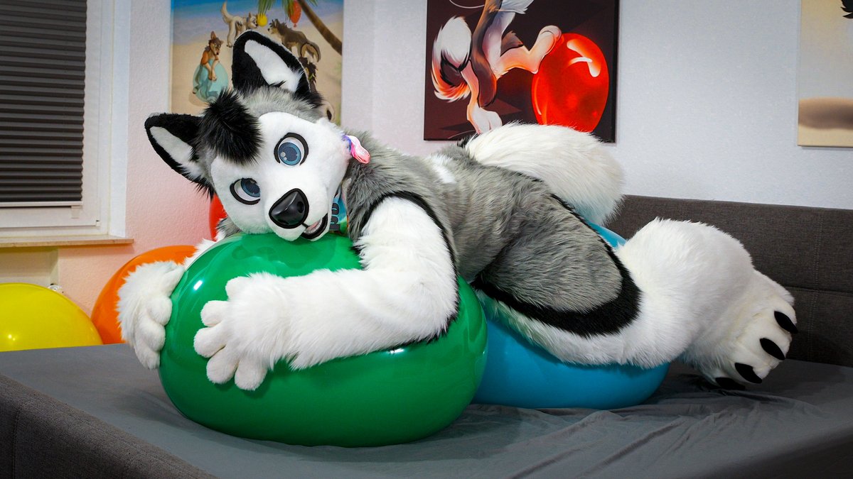 Wishing you all a bouncy and squeaky start into the week! Let those balloons lift your mood high! 🎈💖
#MotivationMonday 

🎥Video-Link:
youtu.be/aogVAoVGykg

#furry #fursuit #Balloons #Balloon #looner