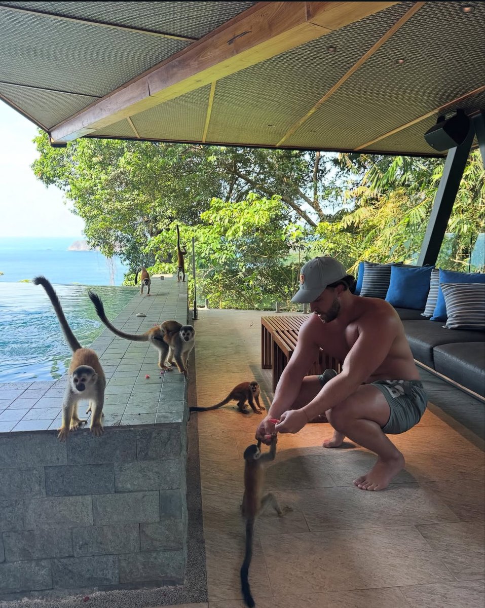 Craig Currie tweet media