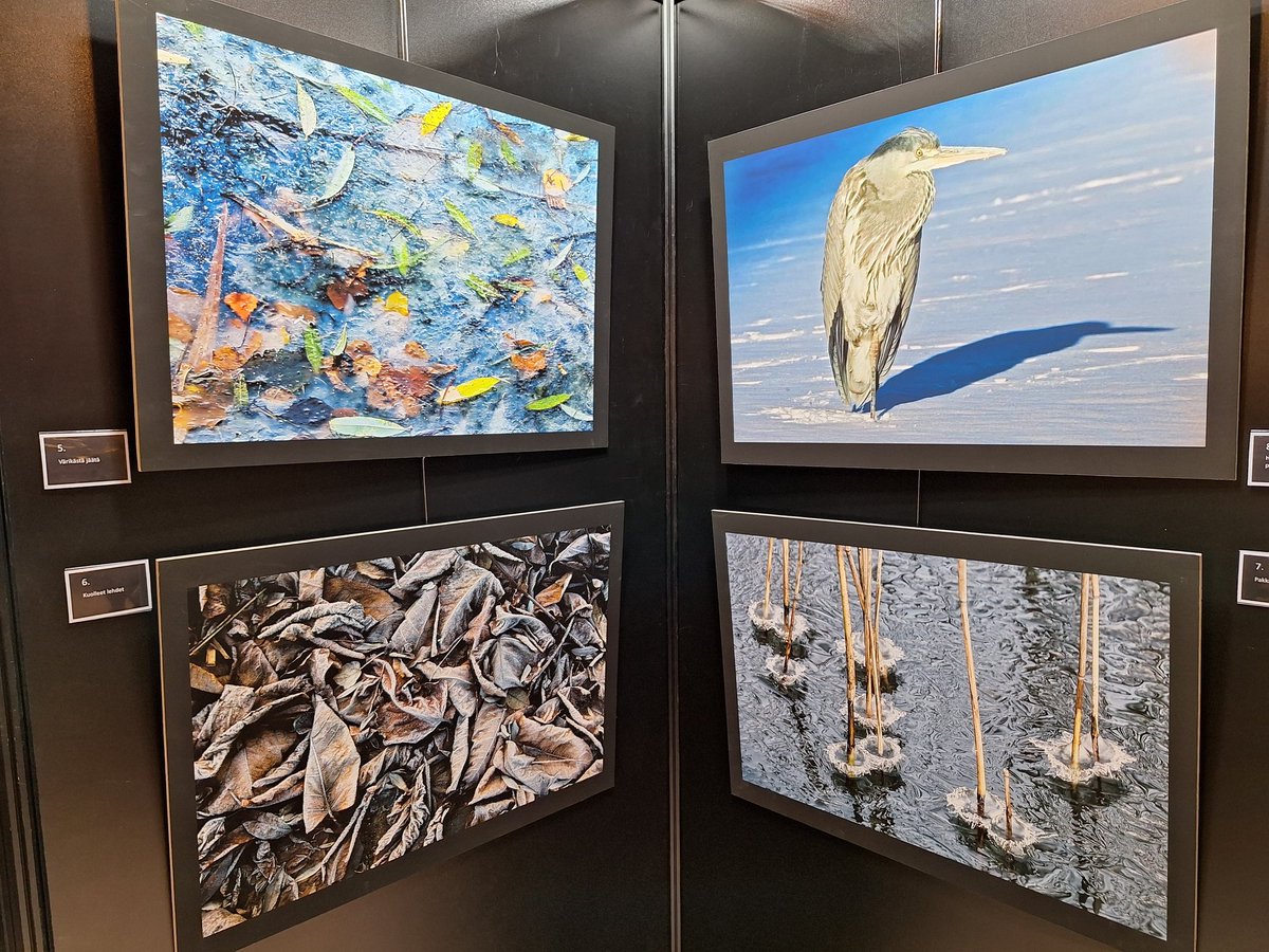 Great to join former Finnish Ambassador to London Minister Pertti Salolainen at his photo exhibition in Finlandia Hall.   The photos show the amazing and fragile biodiversity of Töölönlahti - a beautiful part of Helsinki.