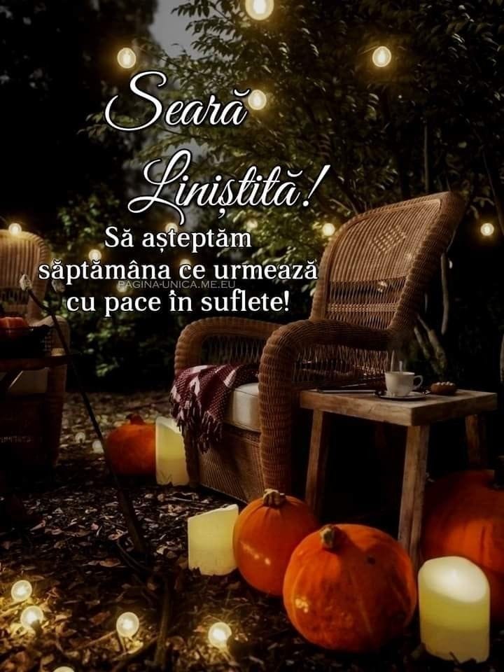 O seară frumoasă și liniștită vă doresc tuturor alături de cei dragi vouă!💫🍂💫