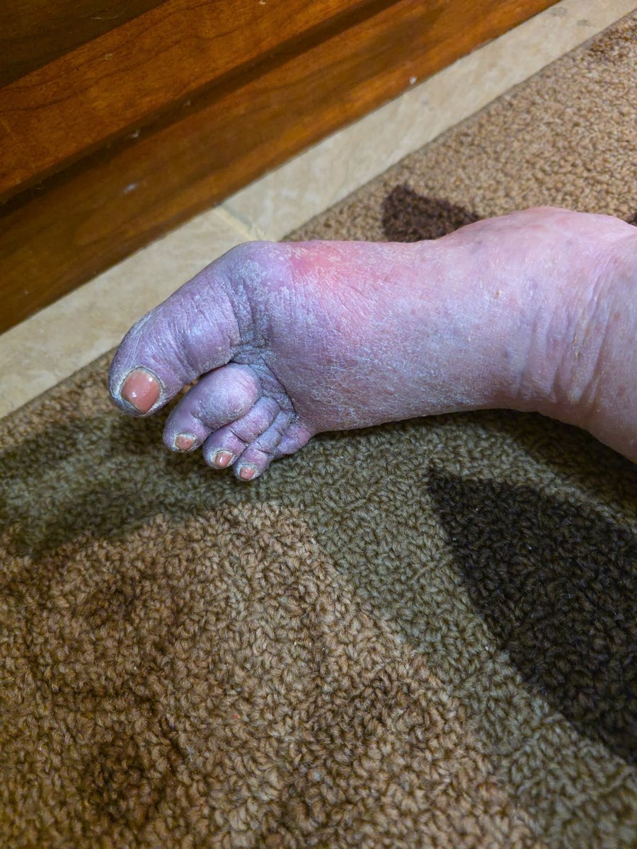 Jaimie K. M. Hendry (@hendryjaim61761) on Twitter photo 