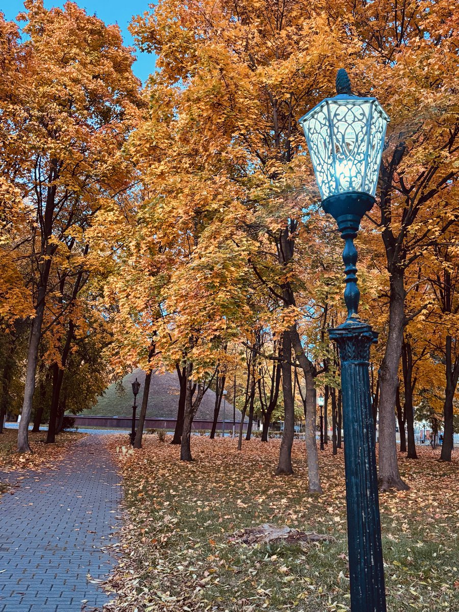 karamelka_foru's tweet photo. Как я люблю осень 🍁😍☔️

#осеннее https://t.co/TipIOE3bns