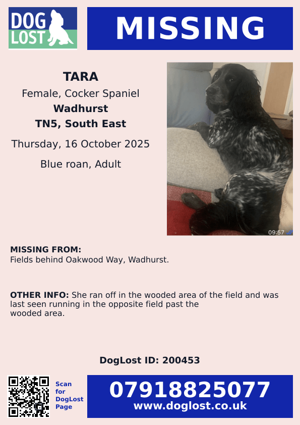 Missing Pets GB (@missingpetsgb) on Twitter photo 🐕 LOST DOG TARA
Last seen Back fields of Oakwood Way Wadhurst #eastSussex #TN5 around 2:30pm 16 October 2025
She is a Working Cocker Spaniel, Blue Roan, Medium-sized, around 17kg
Chipped but no collar 
📞 If you see her, please call or text asap 
Please share & keep an eye out. 🐕 LOST DOG TARA
Last seen Back fields of Oakwood Way Wadhurst #eastSussex #TN5 around 2:30pm 16 October 2025
She is a Working Cocker Spaniel, Blue Roan, Medium-sized, around 17kg
Chipped but no collar 
📞 If you see her, please call or text asap 
Please share & keep an eye out.