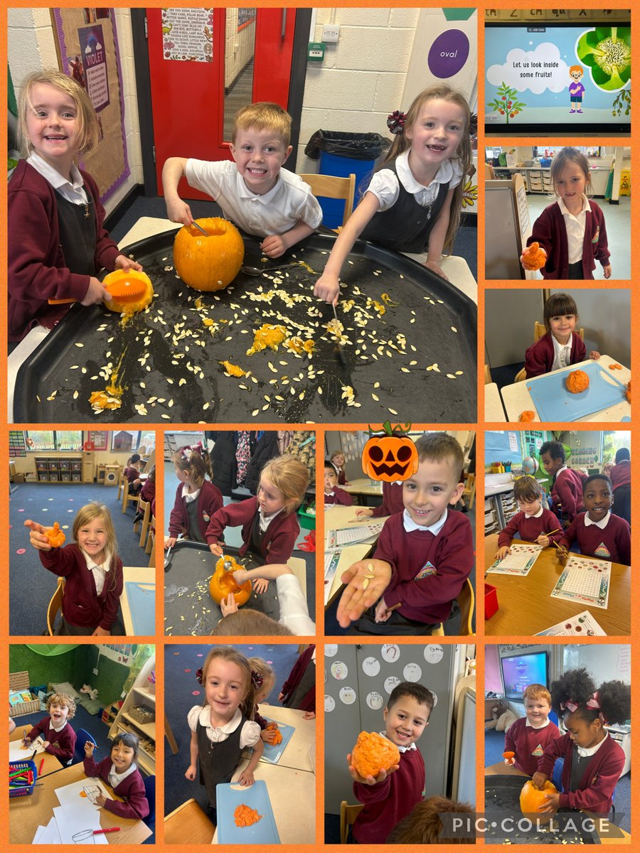 Miss Goldsmith tweet media