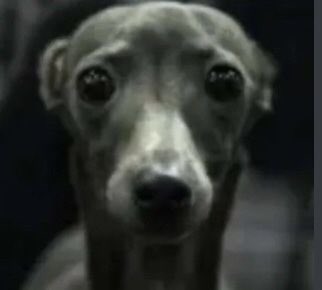 junoslacy's tweet image. imagina assistir hilda furacão e ficar do lado da igreja e não das putas mdssss