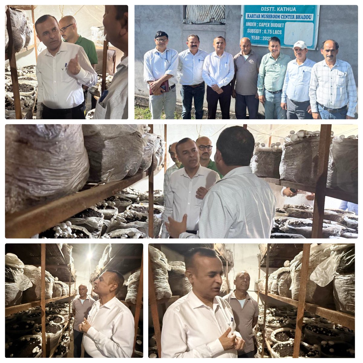 Director Agriculture Jammu, Sh. Anil Gupta, during his tour to District Kathua, today on 20.10.2025 visited the Mushroom Shed of Sh. Kartar Chand, resident of Bhaddu Billawar, District Kathua. 
#Mushrooms <a href="/Agriprodnjk/">Agriculture Production Department JK</a> <a href="/javidahmaddarjk/">Office of Javid Ahmad Dar</a> <a href="/diprjk/">Information & PR, J&K</a>