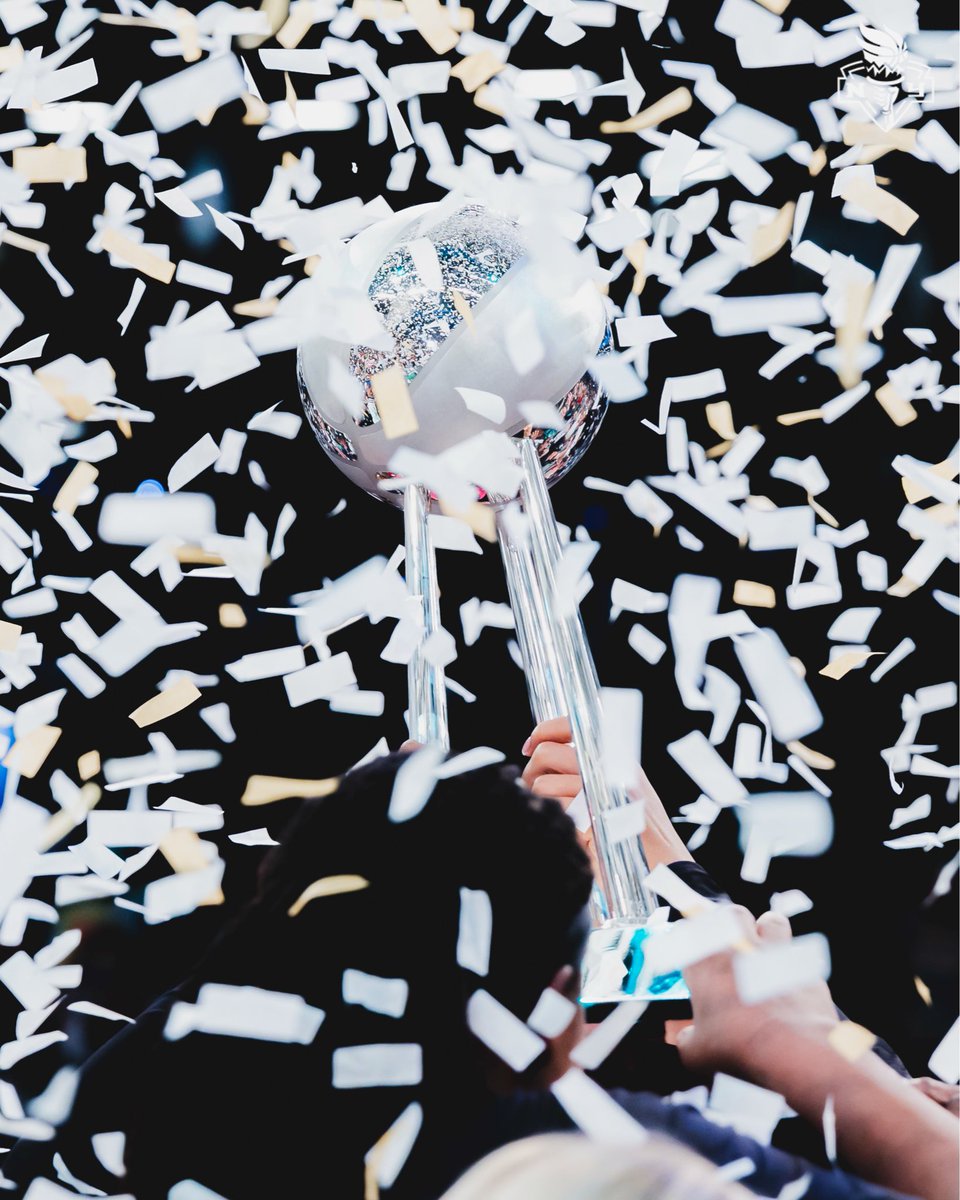 nyliberty's tweet image. Today, we celebrate New York Liberty Day in NYC — a day that’s all about the city, the fans, and the team that made history.🗽

One year ago today, history was made.🏆