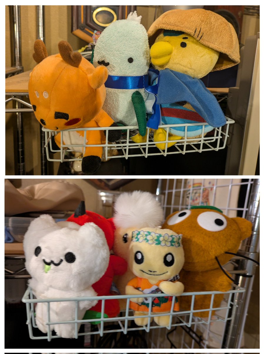 きょうすけ🐶😺🤖🕊️🐟🕰 tweet media