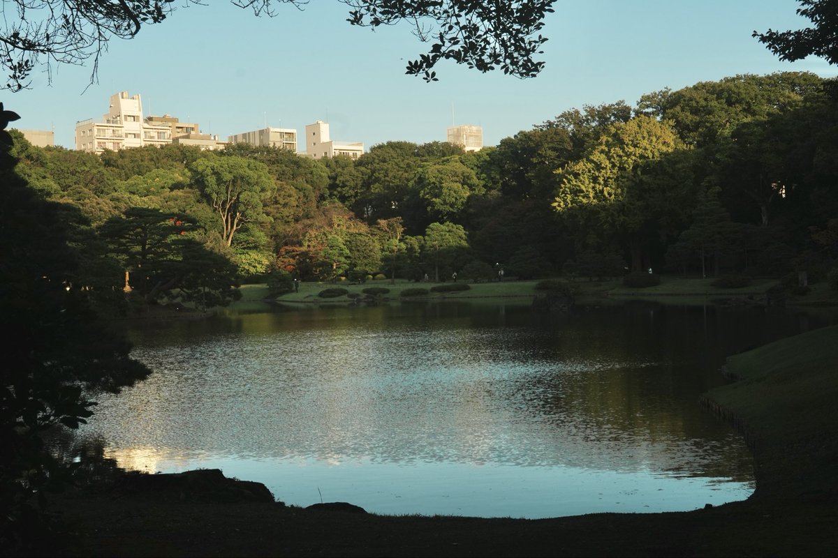 mrrr1110's tweet image. 