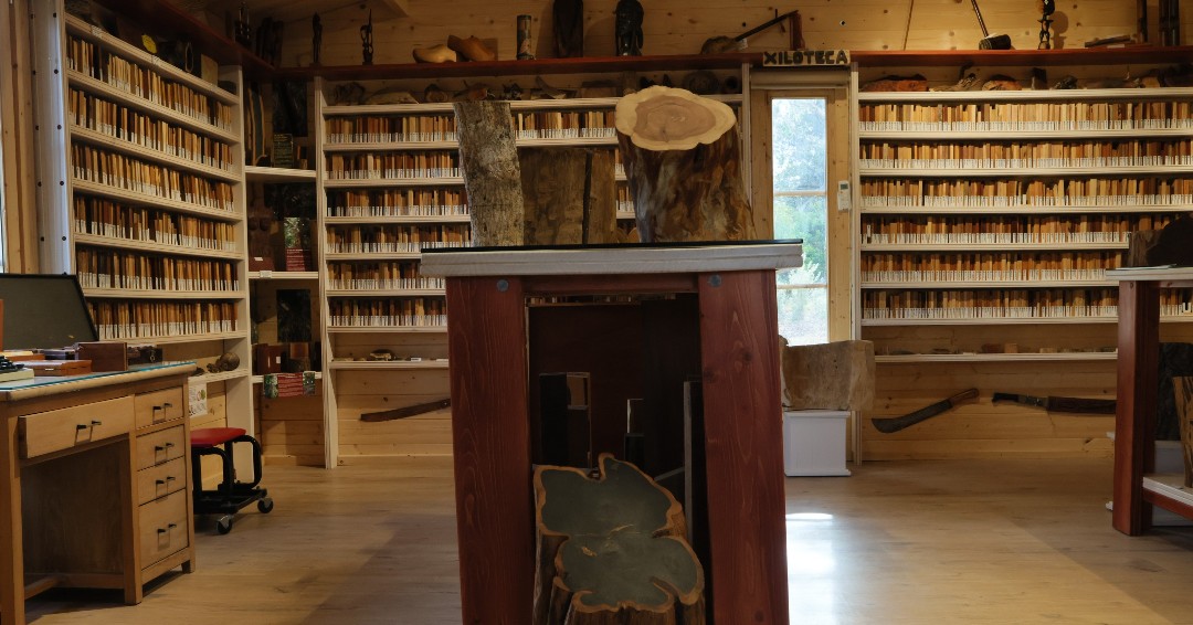 Con más de 7.500 muestras de madera de todo el mundo, la xiloteca de la #UAH, ubicada en el Jardín Botánico, se convierte en la colección más grande del país. Hoy se ha celebrado oficialmente su inauguración de la mano de su director, Manuel Peinado Lorca. ow.ly/Lt2a50XeYO9