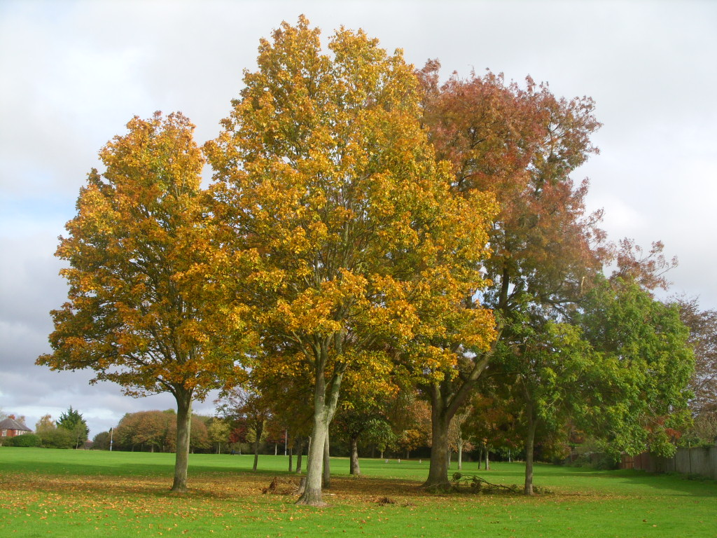 Barry S. tweet media