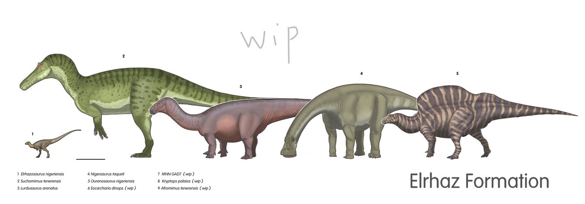 Elrhazosaurus nigeriensis
It is indeed difficult to complete the reconstruction knowing only the femur fossil