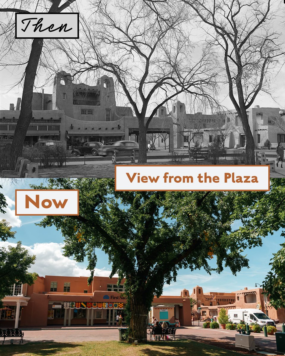 Wale Matuluko tweet media