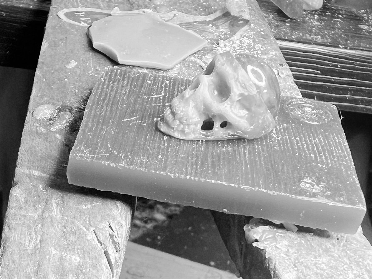 KOHLAB1's tweet image. 💀🧠 #schattenblumeinyourarea