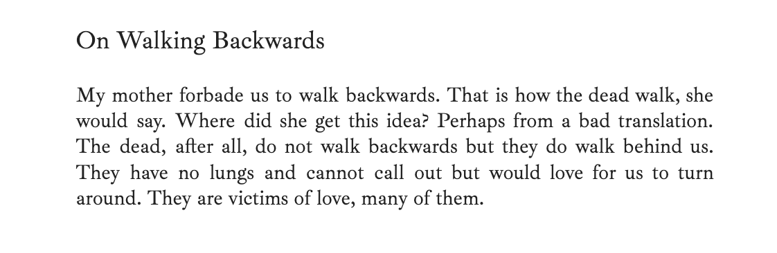 One of my favorite short lectures by Anne Carson.
