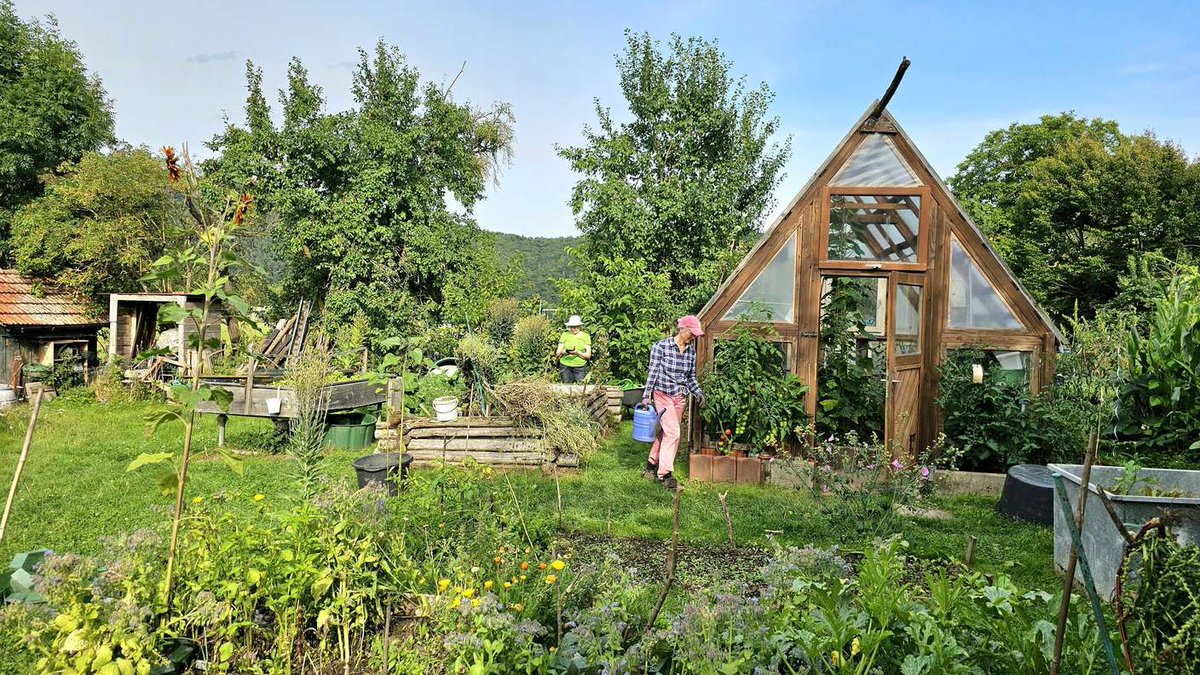 Gemeinschaftsgarten Niederurff fördert nachbarschaftliches Miteinander: Man kann auch ohne eigenen Garten in viele Dinge reinschnuppern, Talente entdecken, viel von anderen lernen. hna.de/lokales/fritzl…