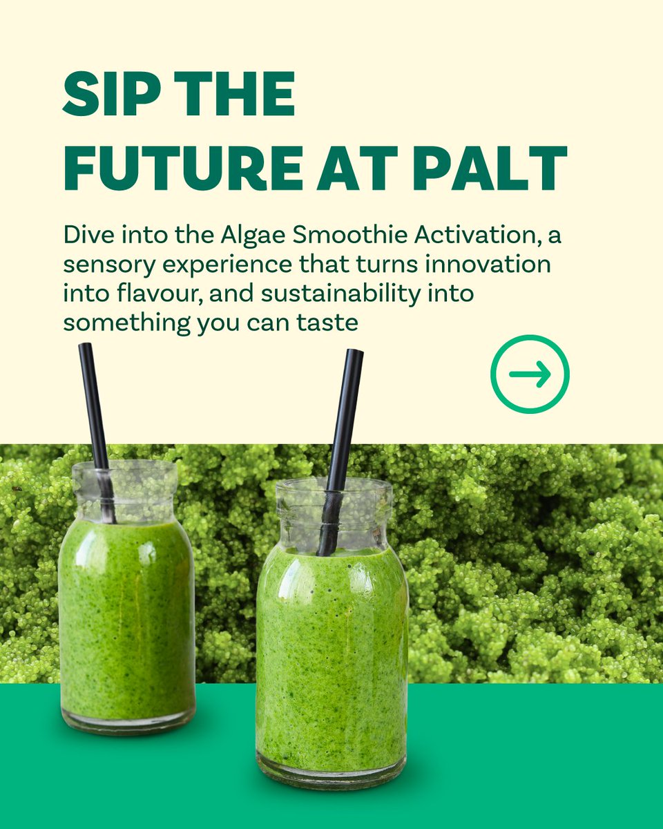 AGWAABUDHABI's tweet image. Innovation meets flavour at PALT’s Algae Smoothie Activation; it's a sustainability you can taste.

 #PaltbyAgwa #AGWA #AGWAAbuDhabi

في PALT 2025 يلتقي الابتكار بالنكهة في مشروب الطحالب ليقدم استدامة يمكن تذوّقها.