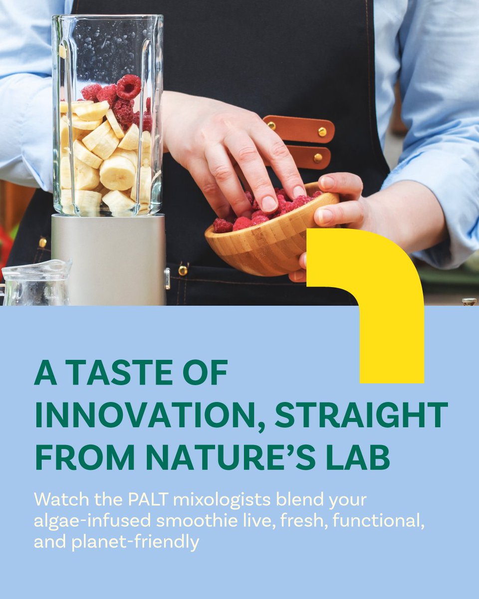 AGWAABUDHABI's tweet image. Innovation meets flavour at PALT’s Algae Smoothie Activation; it's a sustainability you can taste.

 #PaltbyAgwa #AGWA #AGWAAbuDhabi

في PALT 2025 يلتقي الابتكار بالنكهة في مشروب الطحالب ليقدم استدامة يمكن تذوّقها.