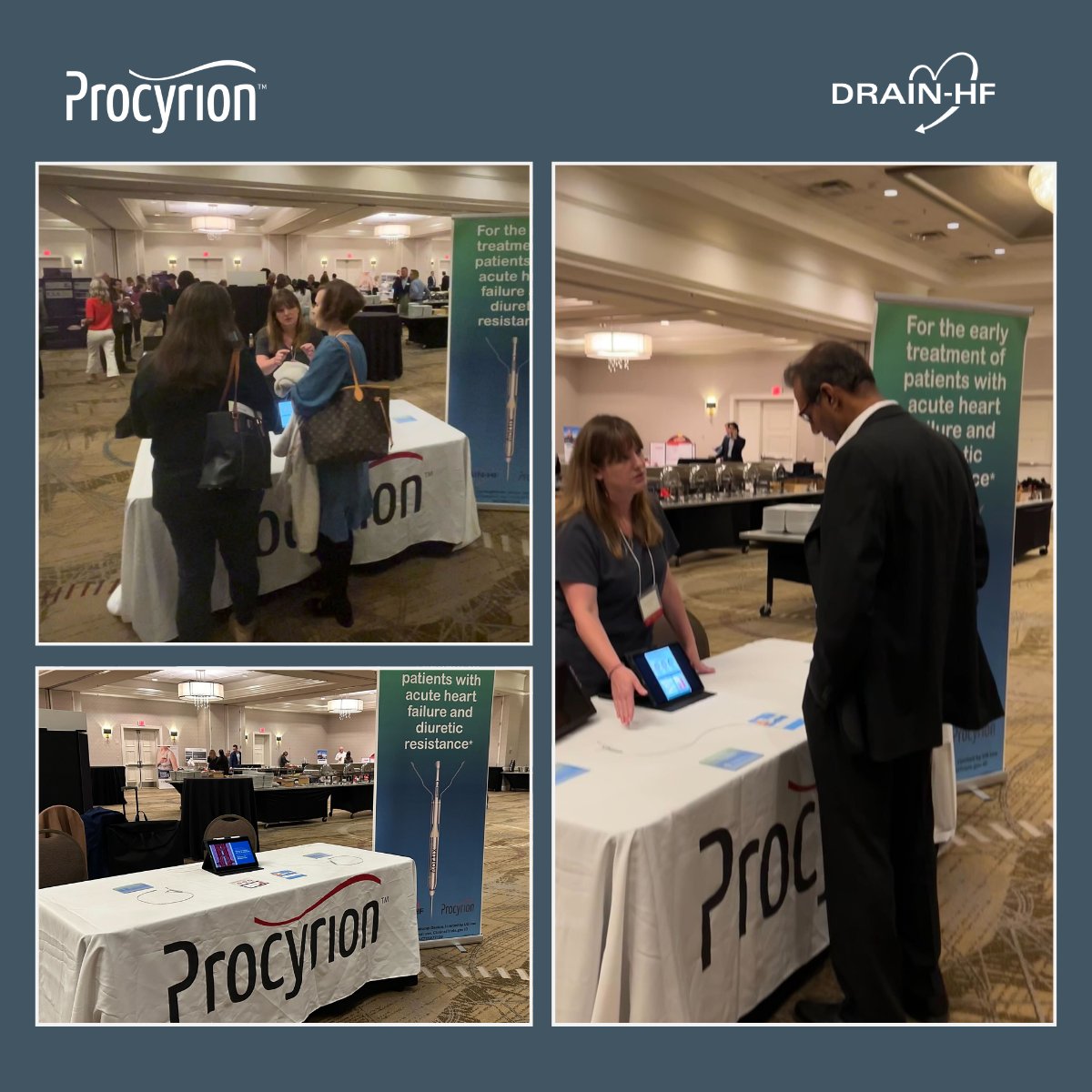Procyrion tweet media
