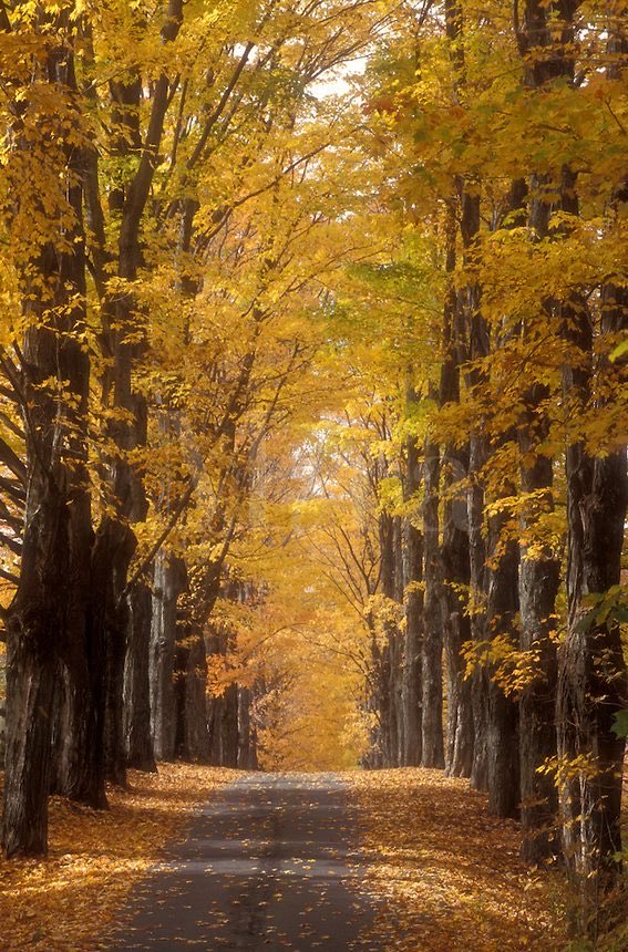 Mulla (@mulla9131) on Twitter photo 