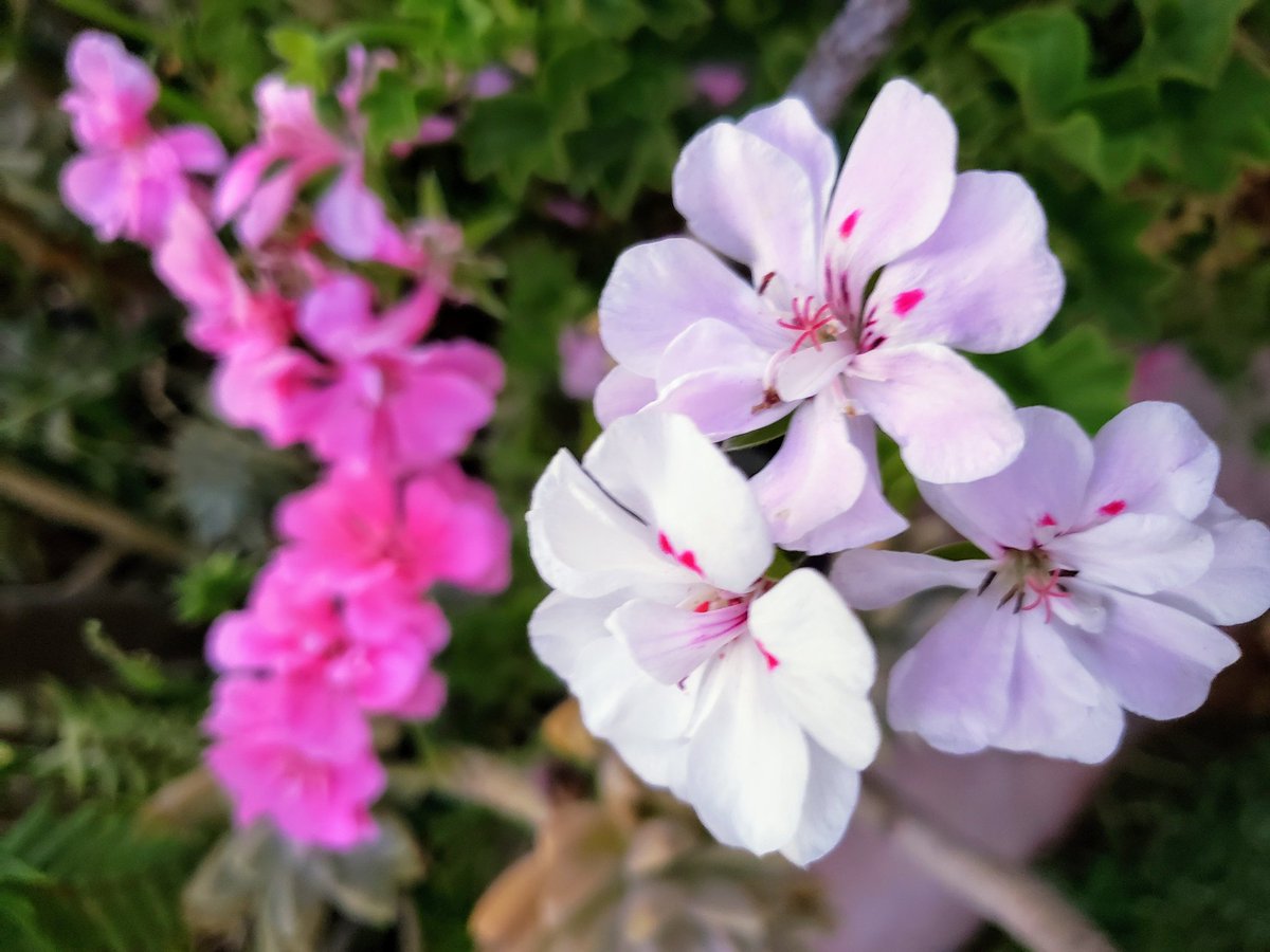 Monday morning vibes. SoCal