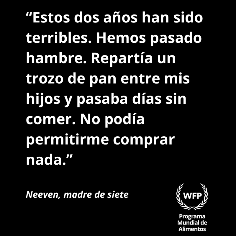 WFP_es's tweet photo. Para Neveen, la guerra significa hambre, desplazamiento y pérdida.

Fue desplazada varias veces dentro de la ciudad de Gaza.
Neveen ahora vive entre los escombros de un bloque de apartamentos.

El alto al fuego allana el camino para que llegue más ayuda a Gaza.