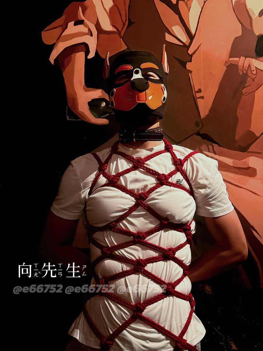 小向先生 tweet media