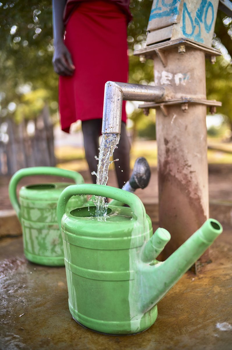 waterisbasic's tweet image. From a repaired well to renewed life 🌿
Clean water changes everything — for families, farms, and futures.

Support women-led water solutions in South Sudan

#WaterIsBasic #CleanWater #Vision2030