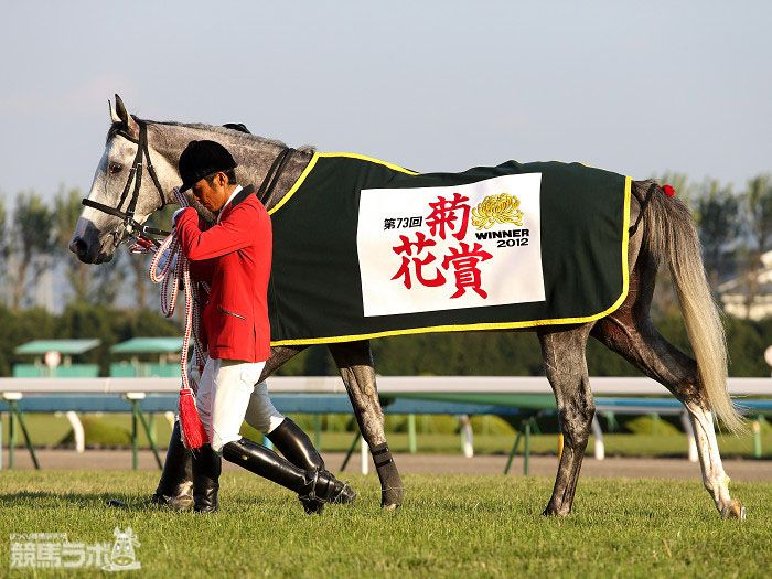 【芦毛の不沈艦】
2012年10月21日、菊花賞。勝ったのは皐月賞馬ゴールドシップ。芦毛の怪物が2つ目のG1タイトルを獲得してから今日で13年。
#ゴールドシップ #内田博幸 #菊花賞 
keibalab.jp/db/race/201210…
