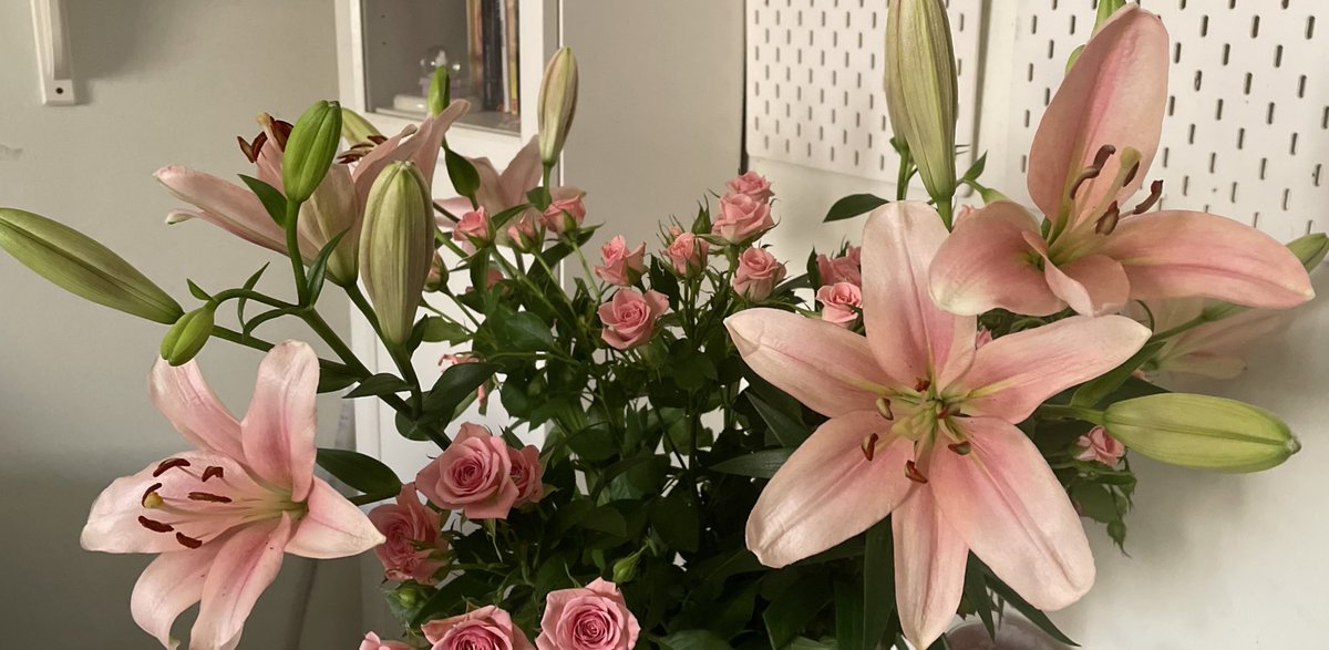Ijoury_'s tweet image. Lilies🌺🌸🌼
