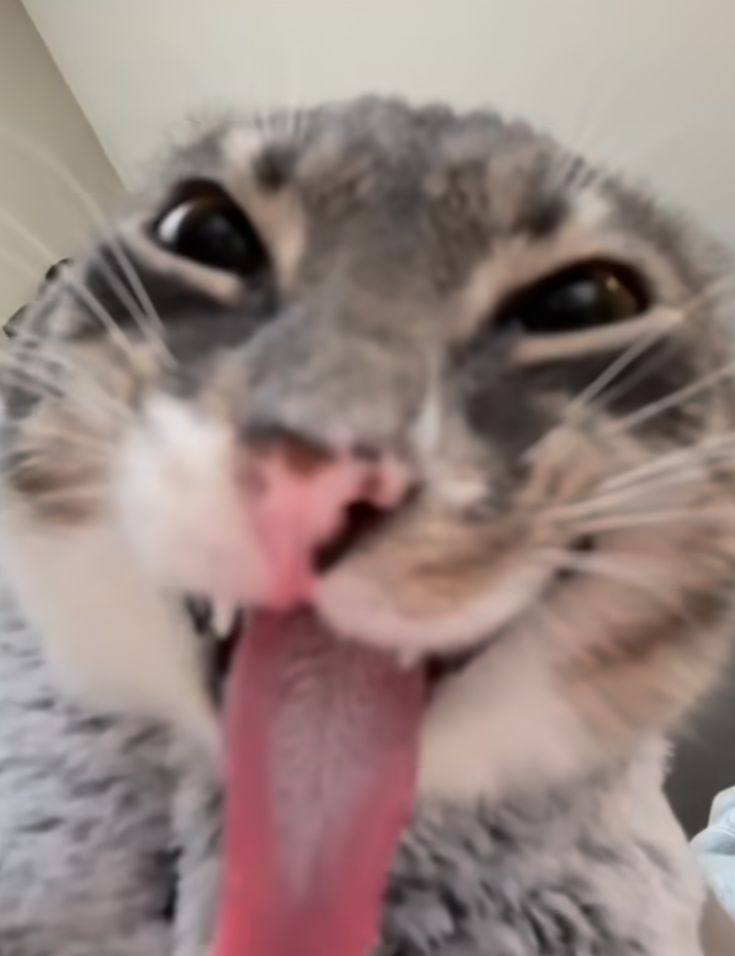 КАК ЖЕ Я ЖДУ