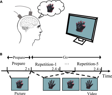 Patterns_CP's tweet image. Online Now: Decoding multi-joint hand movements from brain signals by learning a synergy-based neural manifold dlvr.it/TNn8fM #datascience