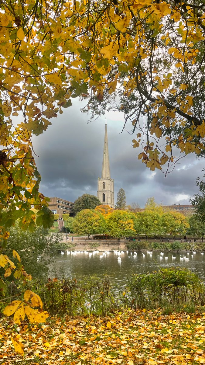 Worcester in its autumn finery this afternoon.