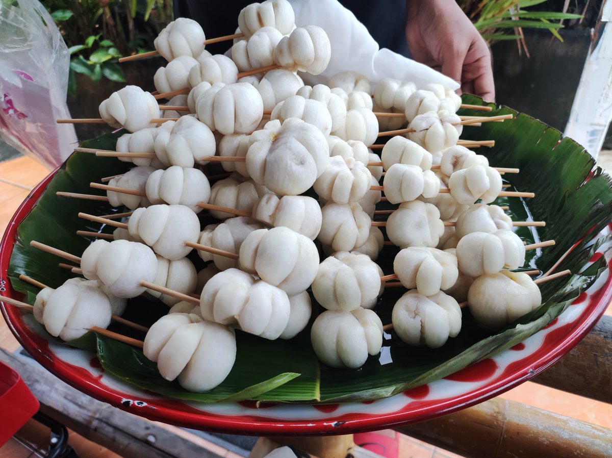 bebedogdog's tweet image. น้องมังคุดคัดกลับมาแล้วจ้า ~