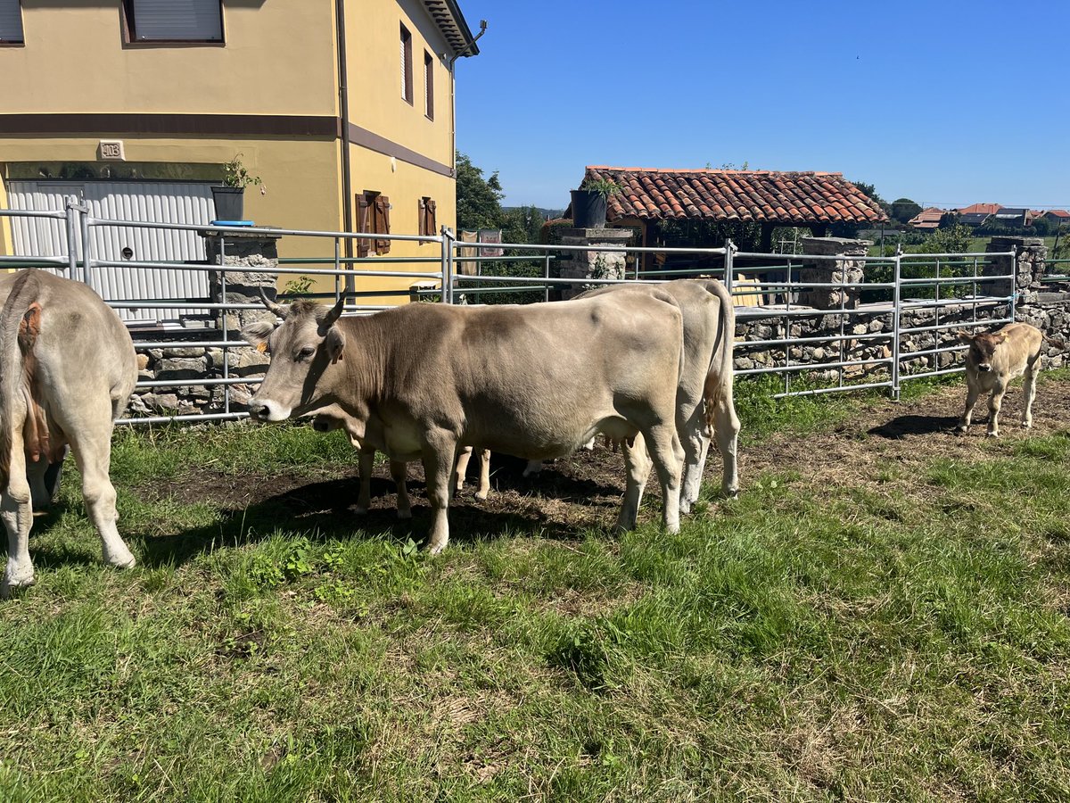 Preciosa ratinasnpara ⁦<a href="/covatra/">covadonga✝️🕎</a>⁩