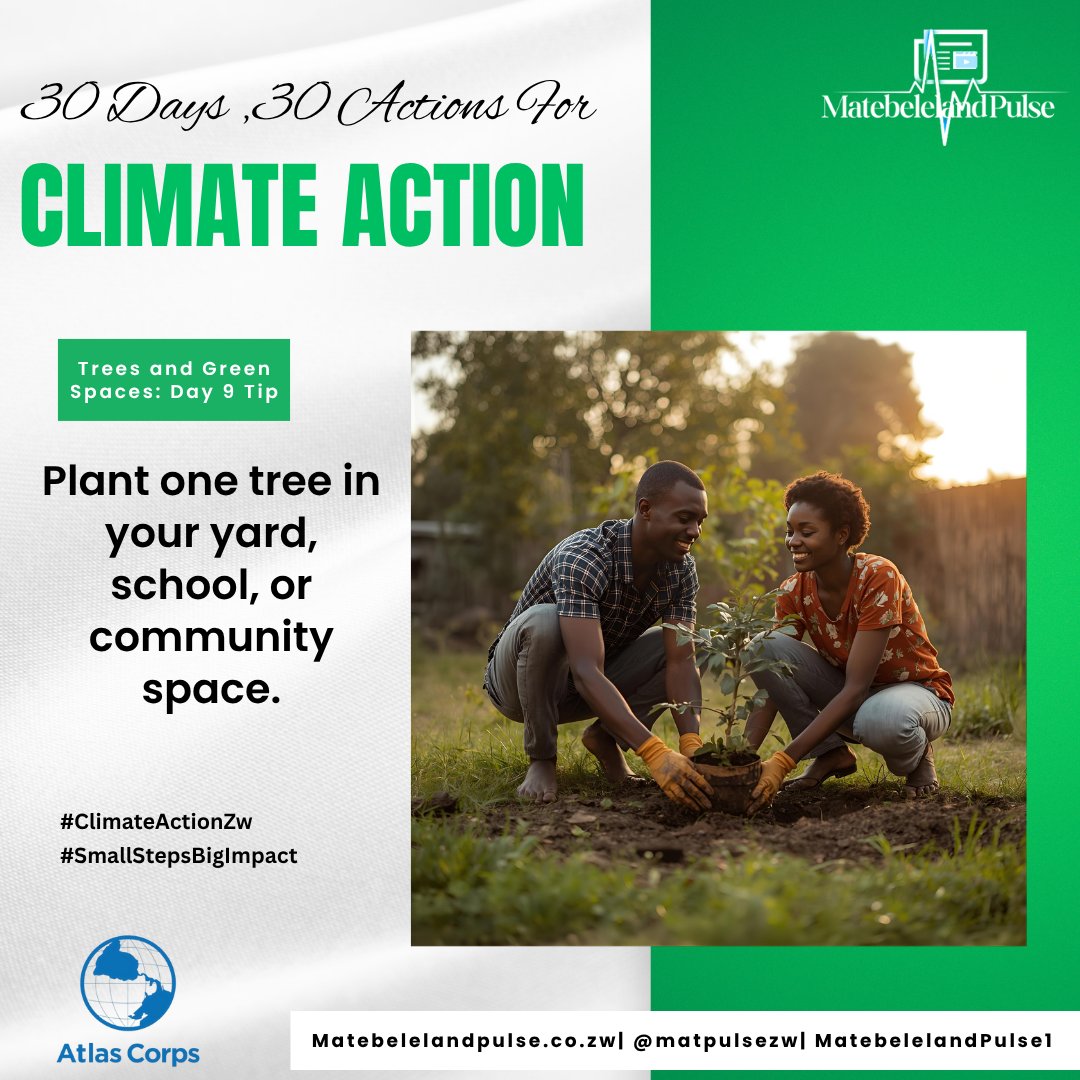 matpulsezw's tweet image. Trees and Green Spaces: Day 9 Tip! 

Make today count for mother earth. Plant one tree in your yard/ school/ a community space. 

Its a simple investment in future shade, clean air and food security  (if you choose fruit trees)
#SmallStepsBigImpact
#ClimateActionZw