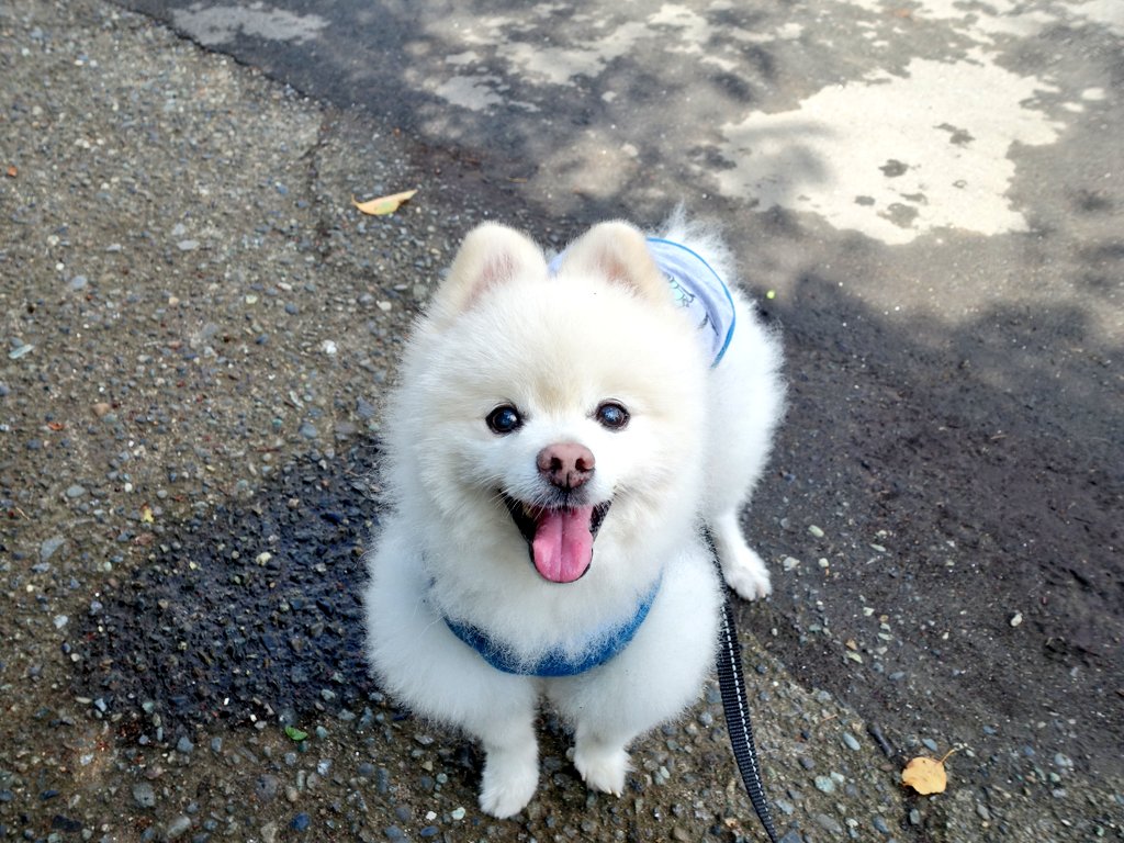 Jun Racing Factory tweet media