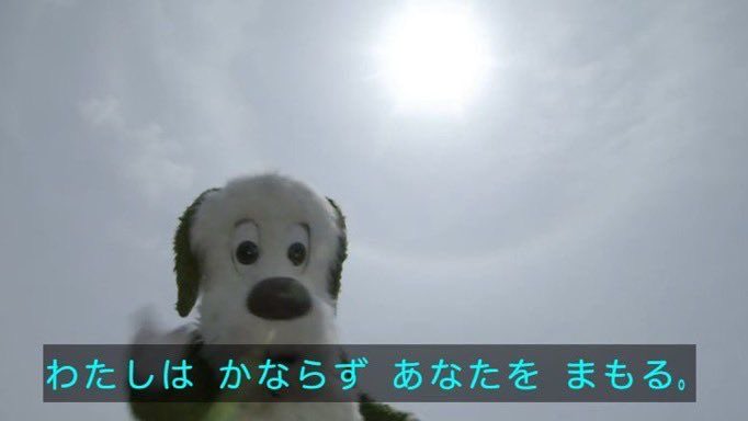 わんころもち (@1sp_d) on Twitter photo 