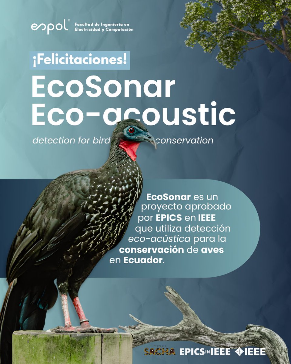 espol_fiec's tweet image. 🟢Felicitaciones 👏I El proyecto EcoSonar – Eco-acoustic detection for bird conservation ganó fondos @IEEEorg EPICS 🦜Liderado por el Dr. Ángel Recalde junto a los Dres. Ricardo Cajo y Washington Velásquez, ¡Son #OrgulloESPOL! 🇪🇨