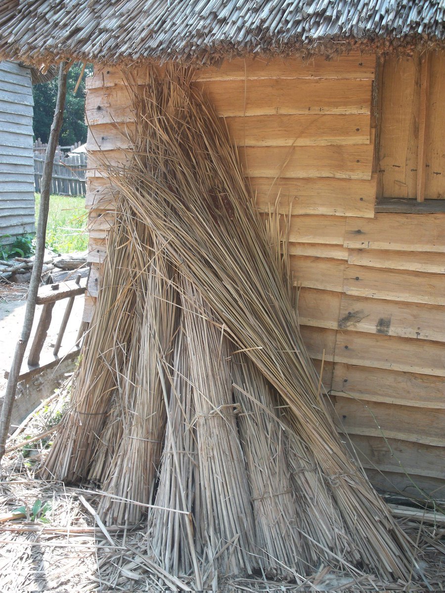 Neo_Hurrian's tweet photo. 🧵1️⃣
Hurro-Urartian Word of the Day 83

Hurrian: kilubinni (bundle of straw)
Kurdish: kilaubine (stem of rhubarb)

کڵاوبنە https://t.co/D3yMuk6jge