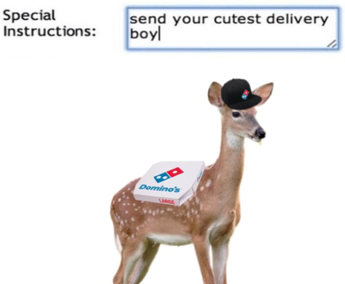 deershouldnt's tweet photo. https://t.co/iKnAlN89s1