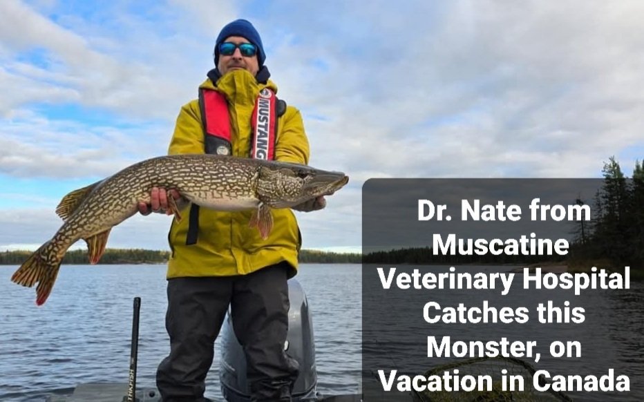 MuscatineIA's tweet image. #NiceCatch #Fish #Vacation