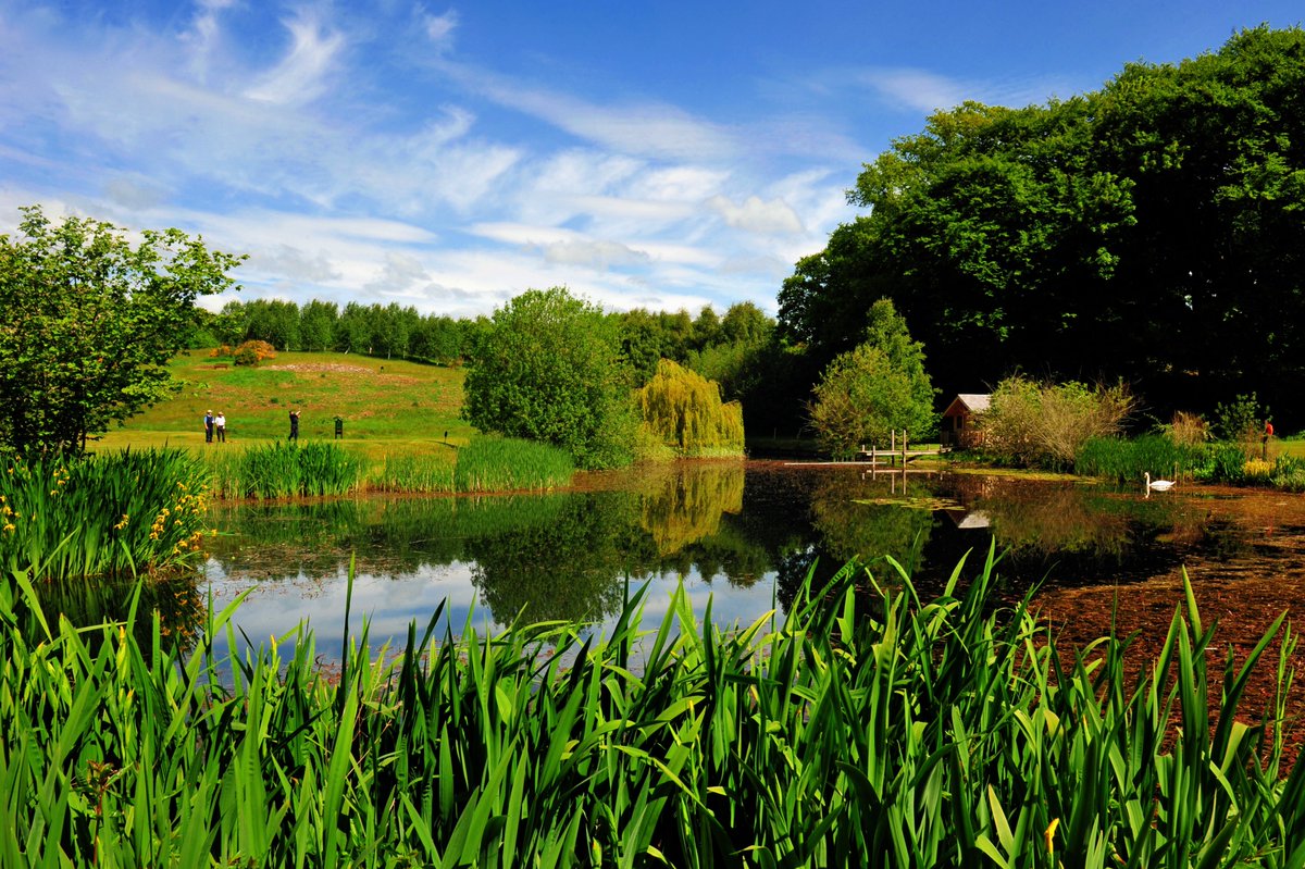 happygolf tweet media