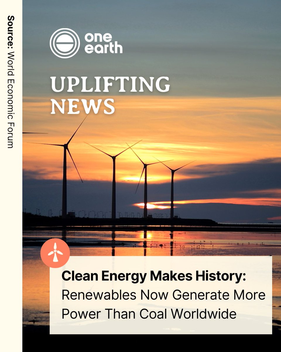 According to new data, solar and wind met all new global electricity demand in the first half of 2025, marking a major turning point in the clean energy transition. 

☀️ Learn more: weforum.org/stories/2025/1…

#UpliftingNews #EnergyTransition #RenewableEnergy