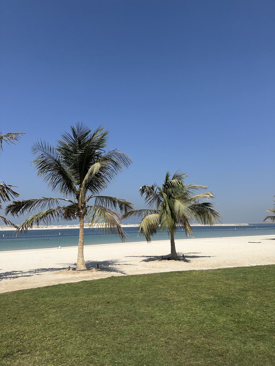 Trade Travel Chill tweet media