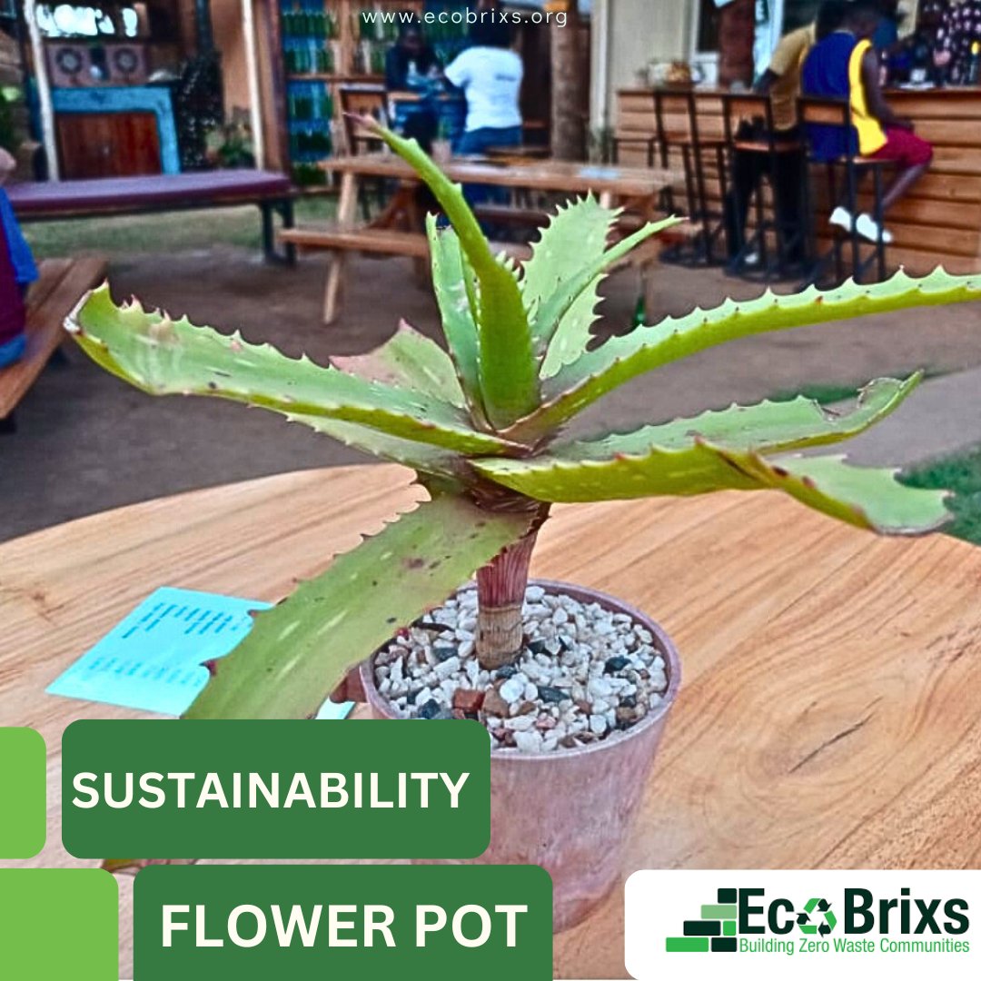 EcoBrixs's tweet image. From plastic waste to plant pride!  
Eco Brixs flower pots are made from 100% recycled plastic,durable, stylish, and perfect for indoor and outdoor spaces.  

🌱 Support sustainability.  
🌍 Build zero-waste communities.  
🛒 Shop now: ecobrixs.org  

#RecycledDesign