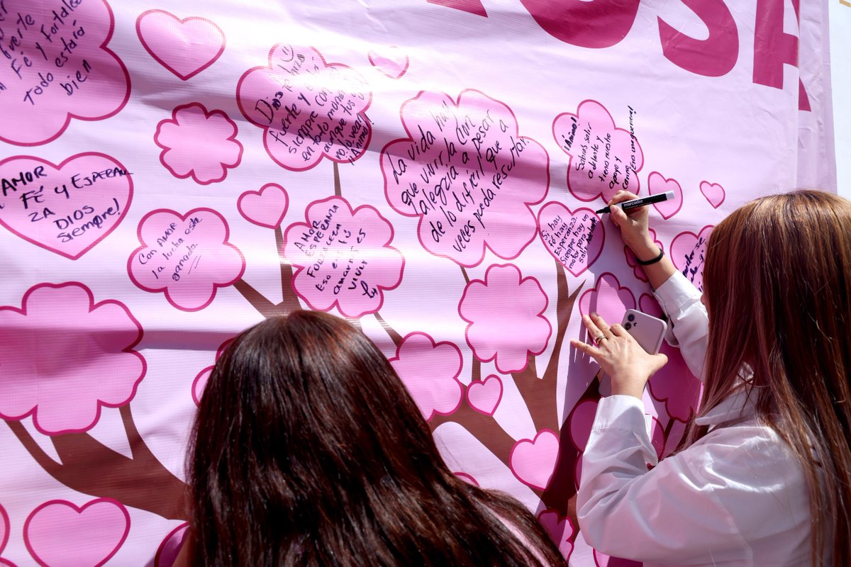 educacionyuc's tweet photo. Como parte de nuestras actividades de concientización en el Mes de la Lucha contra el Cáncer de Mama, organizamos la iniciativa "Mensajes de Esperanza y Fortaleza". En la explanada del Edificio Central García Ginerés de la #Segey,... (1/2) https://t.co/ETwU7407yq