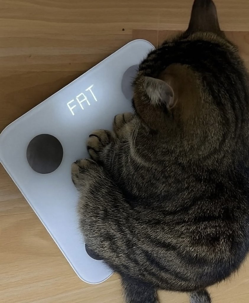 รีวิวชีวิตกุ :