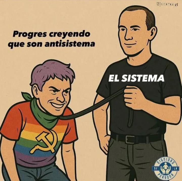joao morrocco tweet media